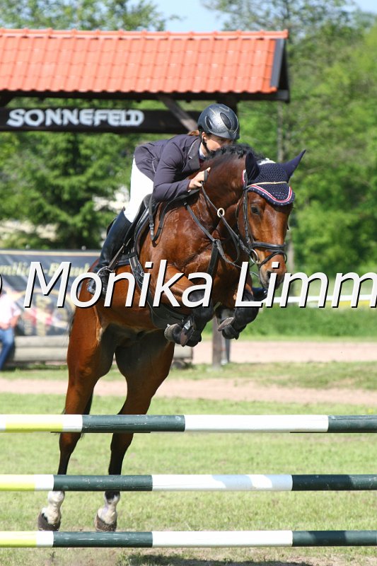 204M3063_Look at me_Springpfe_Axx.JPG